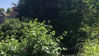 casafari-bild