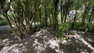 casafari-bild