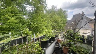 casafari-bild