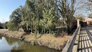 casafari-bild