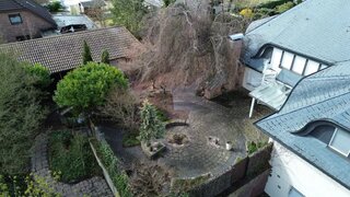 casafari-bild