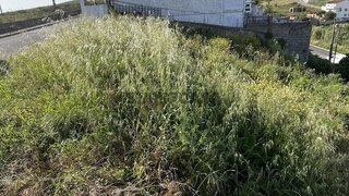 Land for sale in Vila Franca de Xira, Portugal — €135,200