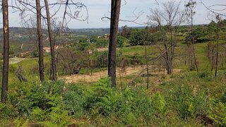 Land for sale in Penalva do Castelo, Portugal — €160,000