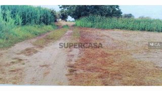 Land for sale in Montemor-o-Velho, Portugal — €6,300