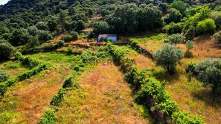 Terreno para venda em Mêda, Portugal — 17 000 €