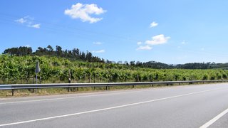 Terreno para venda em Monção, Portugal — 3 000 000 €