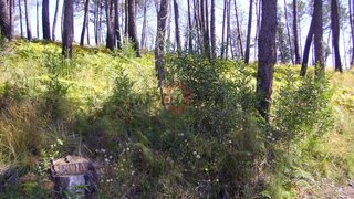 Land for sale in Monção, Portugal — €7,500