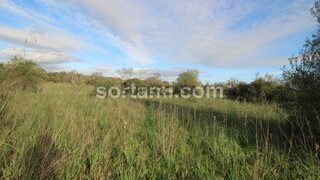 Land for sale in Silves, Portugal — €240,000