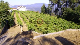 Terreno em Melgaço