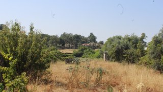 Terreno em Castelo Branco · 1500 m² · 36 000 €