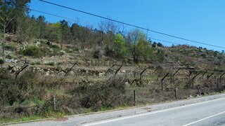 Terreno para venda em Tarouca, Portugal — 135 000 €