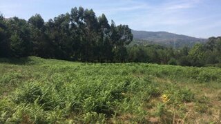 Land for sale in Valença, Portugal — €177,000
