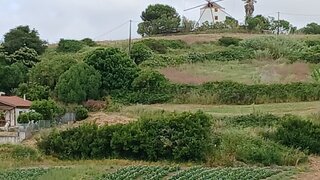 Terreno em Torres Vedras · 90 000 €
