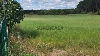 Terreno para venda em Cantanhede, Portugal — 50 000 €