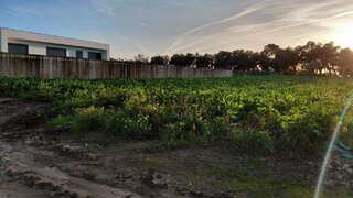 Land for sale in Cantanhede, Portugal — €39,000