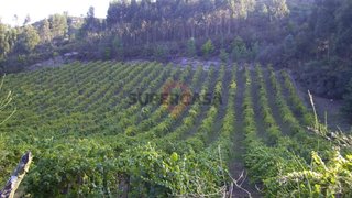 Land for sale in Monção, Portugal — €125,000