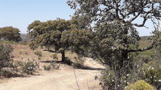 Terreno para venda em Alcoutim, Portugal — 29 900 €