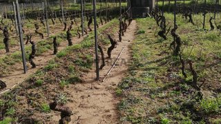 Land for sale in Tondela, Portugal — €50,000