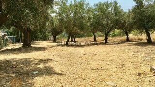 Land for sale in São Brás de Alportel, Portugal — €300,000