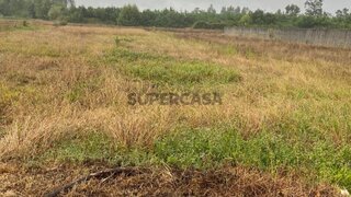 Land for sale in Cantanhede, Portugal — €39,500