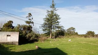 Land for sale in Madalena, Portugal — €145,000