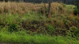 Terreno para venda em Loulé, Portugal — 70 000 €