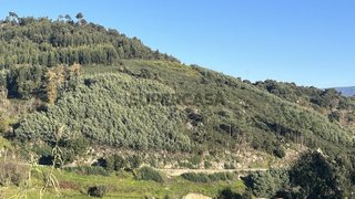 Land for sale in Baião, Portugal — €62,000