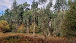 Land for sale in Ponte de Lima, Portugal — €48,000