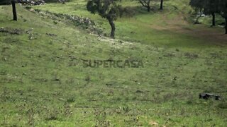 Terreno para venda em Santiago do Cacém, Portugal — 350 000 €
