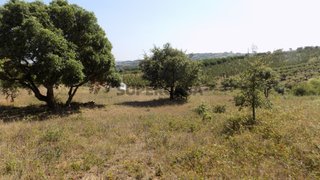 Land for sale in Bombarral, Portugal — €175,000