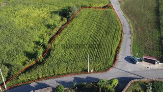 Terreno para venda em Ponte de Lima, Portugal — 12 000 €