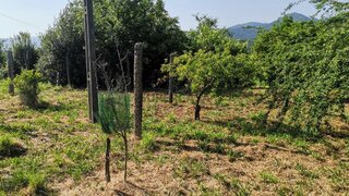 Land for sale in Arcos de Valdevez, Portugal — €55,000