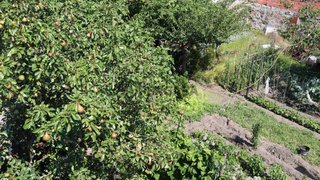Land for sale in Paredes, Portugal — €43,000