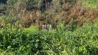 Land for sale in Barcelos, Portugal — €32,000