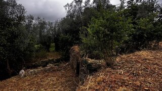 Land for sale in Ponte de Lima, Portugal — €50,000