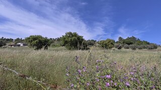 Terreno para venda em Portalegre, Portugal — 220 000 €