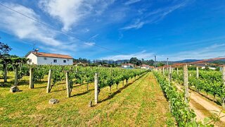 Land for sale in Monção, Portugal — €130,000