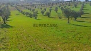 Terreno em Alandroal · 40 000 €