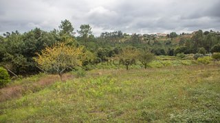 Land for sale in Paredes, Portugal — €275,000