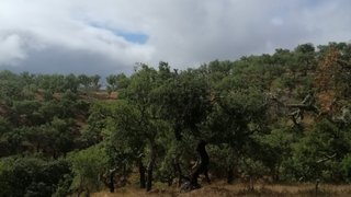 Terreno para venda em Grândola, Portugal — 195 000 €