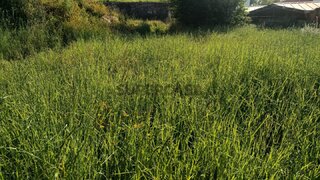 Land for sale in Ponte de Lima, Portugal — €77,000