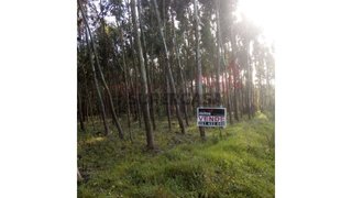 Terreno para venda em Lourinhã, Portugal — 25 000 €