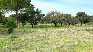 Terreno para venda em Grândola, Portugal — 140 000 €