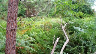 Land for sale in Monção, Portugal — €30,000