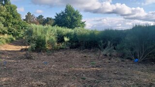Terreno em Aguiar da Beira · 30 400 m² · 35 000 €