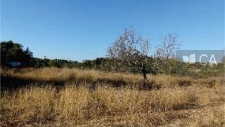 Terreno para venda em Tavira, Portugal — 800 000 €