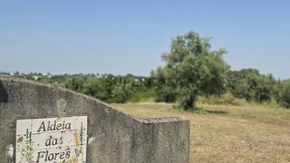 Land for sale in Rio Maior, Portugal — €608,500