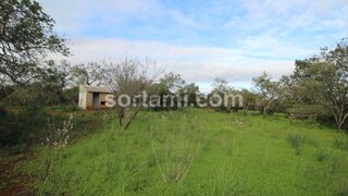 Land for sale in Silves, Portugal — €285,000