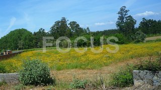 Terreno para venda em Aveiro, Portugal — 40 000 €
