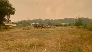 Land for sale in Anadia, Portugal — €50,499